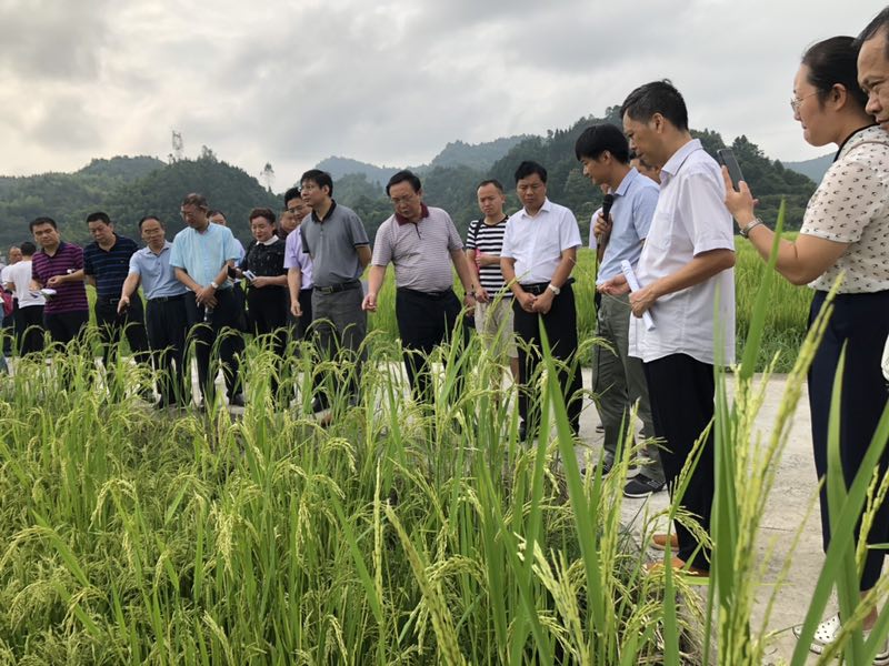 灾后改种补种应采取超常规技术手段(信息服务台)